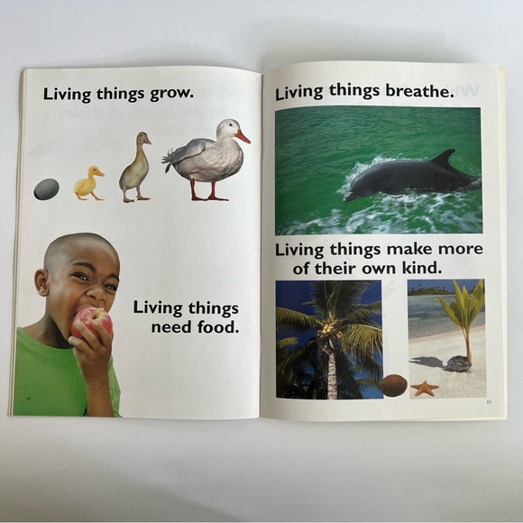 Living Things Are Everywhere! By Jayne Smith kids educational reading book - Picture 13 of 17